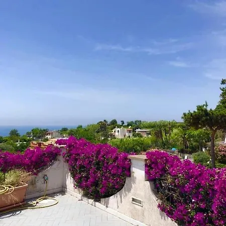 Holiday home Casa Vacanze 'la Bouganvillea' Forio Ischia Forio (Isola d'Ischia)