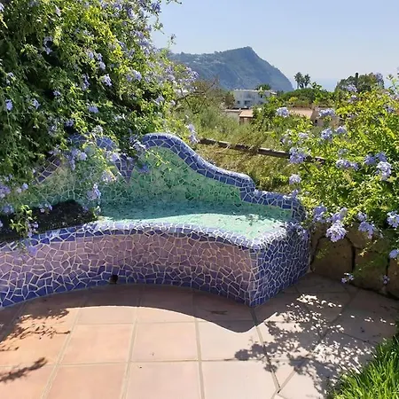 Casa Vacanze 'la Bouganvillea' Forio Ischia